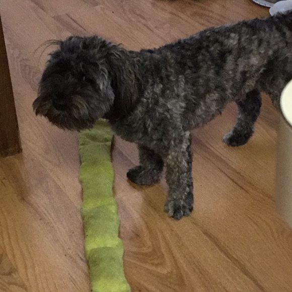 Meet your Posher, Laurie - Picture 6 of 6